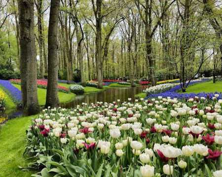 the-netherlands-04